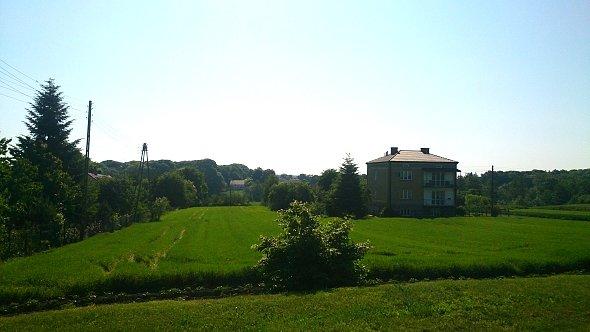 Widok na zieleń