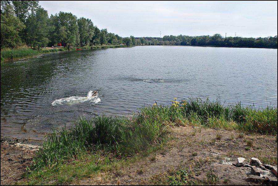 Mango nad Bajkałem