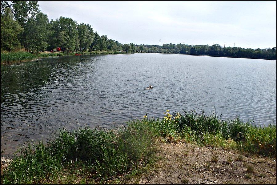 Mango nad Bajkałem