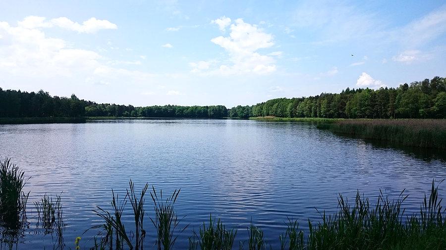 Staw Gichta