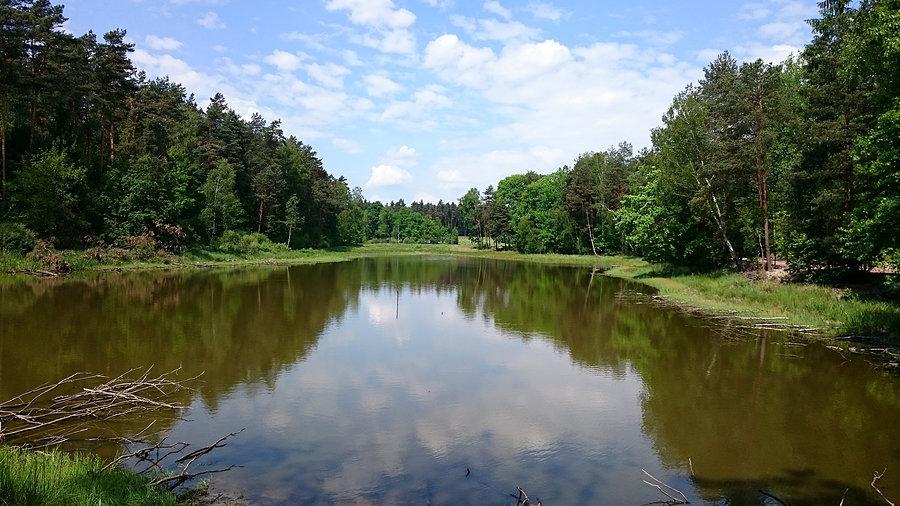Pojezierze Palowickie