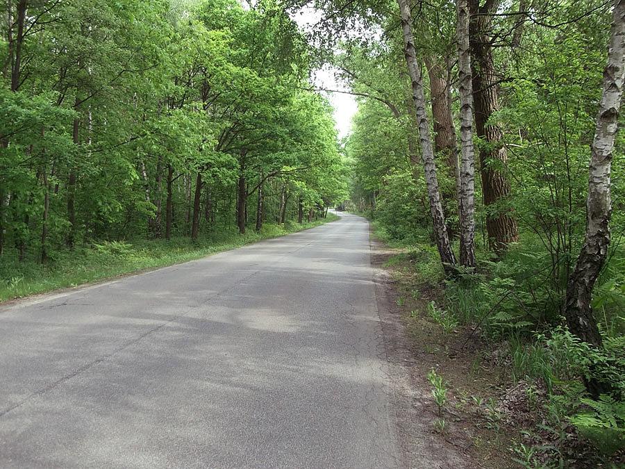 Boczna droga na Chrzanów