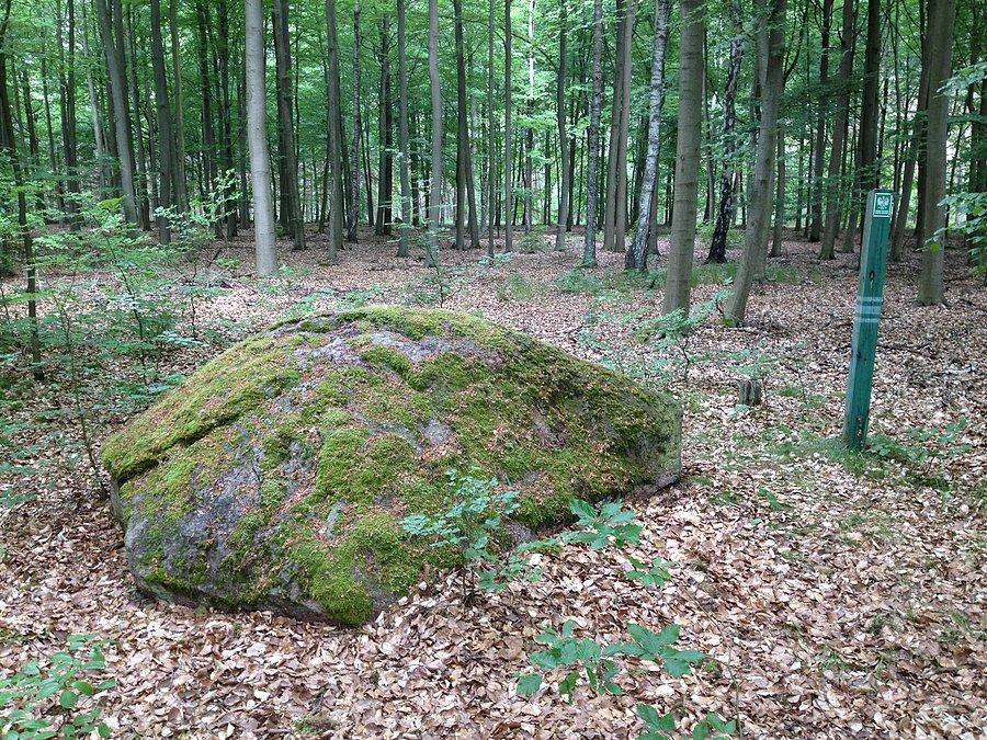Głaz narzutowy przy trasie do Radolinka / dł. 3.3 m / wys. 1.2 m