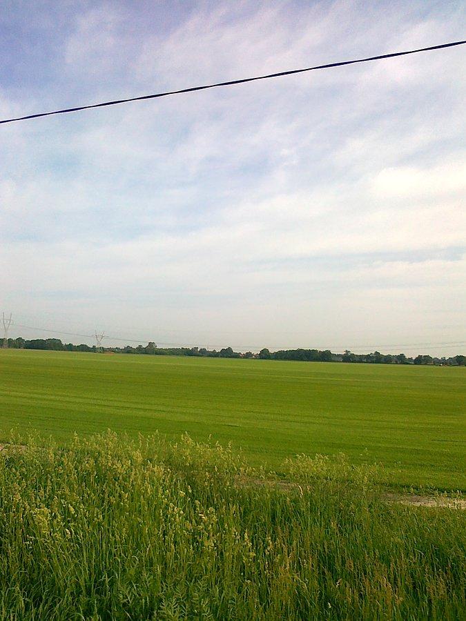 Tu rosnie trawa, którą potem zwijają w rolki