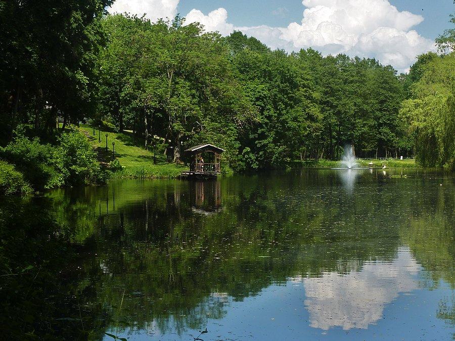Park pałacowy w Ciechanowcu