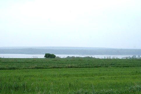 Na punkcie widokowym nad Zalewem Sulejowskim