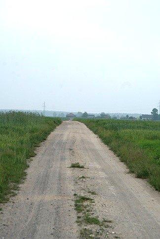 Polną ścieżką przez pola
