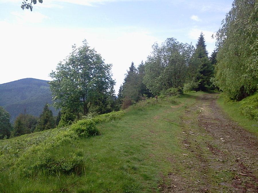 Na podjeździe