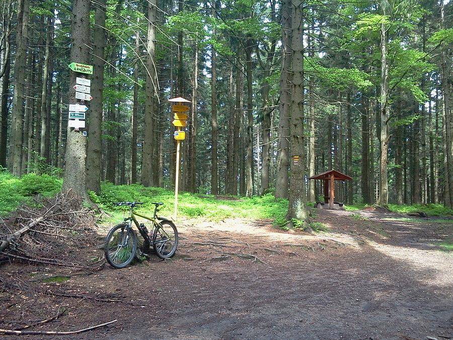 Kałużny 994 m