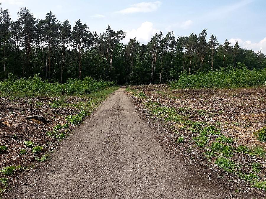 Dojazd pożarowy 47 z Jezierzyc do Płoni