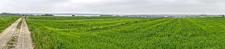 Panorama na zalew Sulejowski