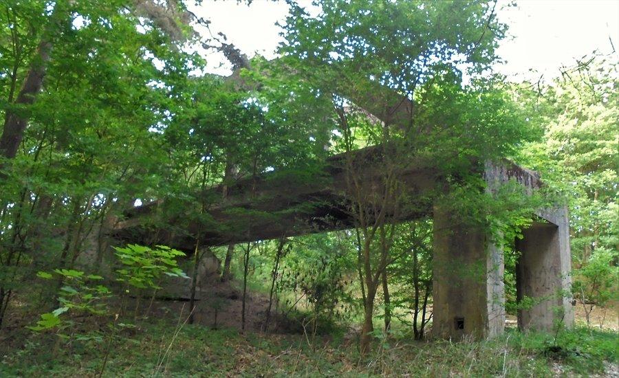 Uroczysko Mosty