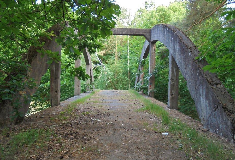 Puszcza Bukowa - Uroczysko Mosty