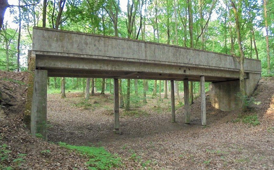 Uroczysko Mosty