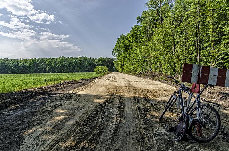 Nowa rowerowa autostrada leśna