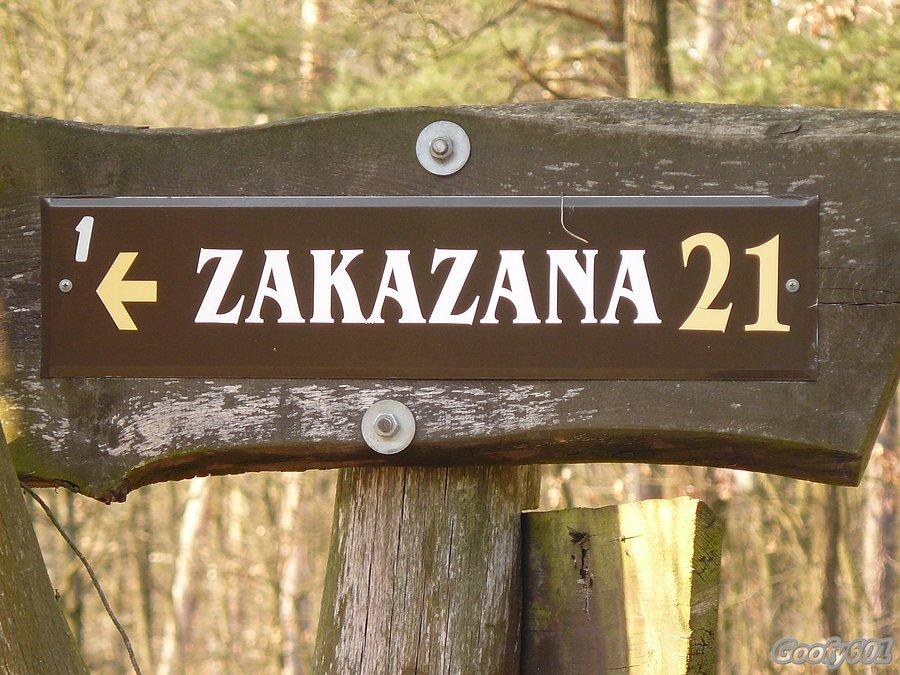 Hmm, może by tak spróbować? ;)