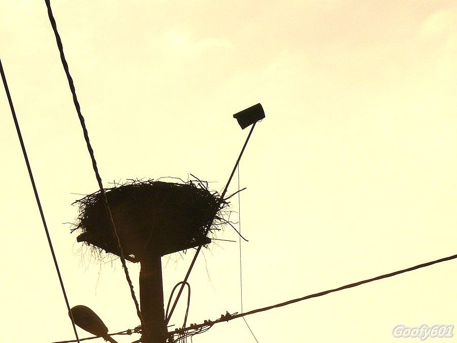 Big Brother? :P