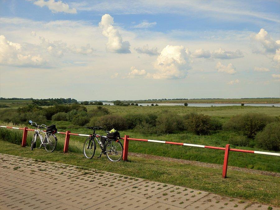 XVI Rowerowy Rajd Gwiaździsty. Nizina Walichnowska