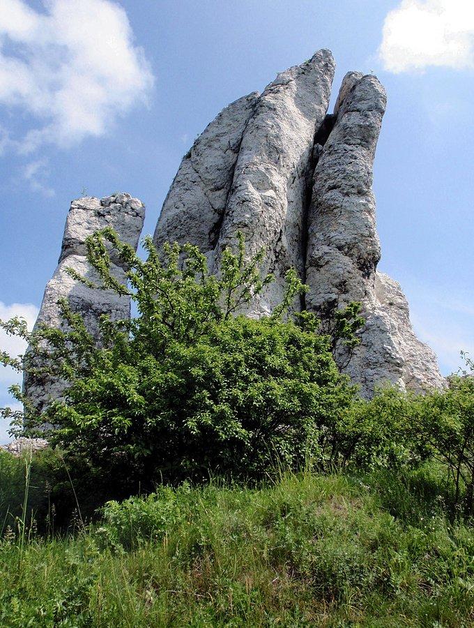 Skała Wysoka w Rzędkowicach
