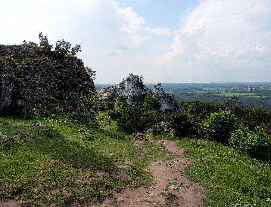 Na Górze Zborów
