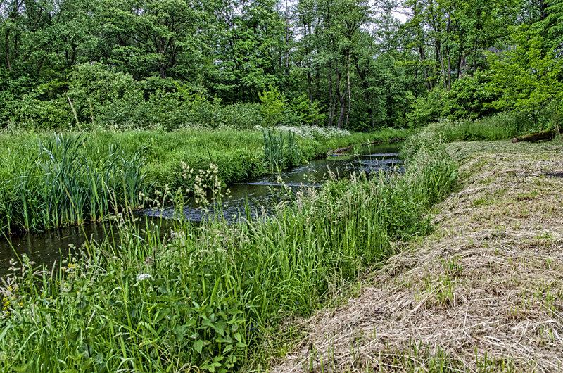 Nad Wąglanką