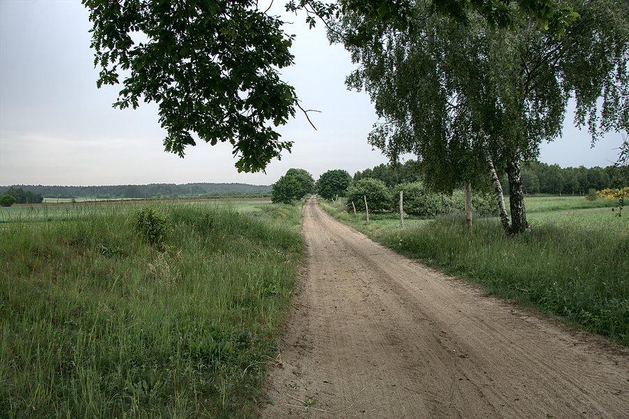 Ul. Bydgoską wyjeżdżam z Kalisza Pomorskiego