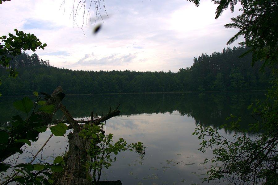 Mijam leśne jeziorka