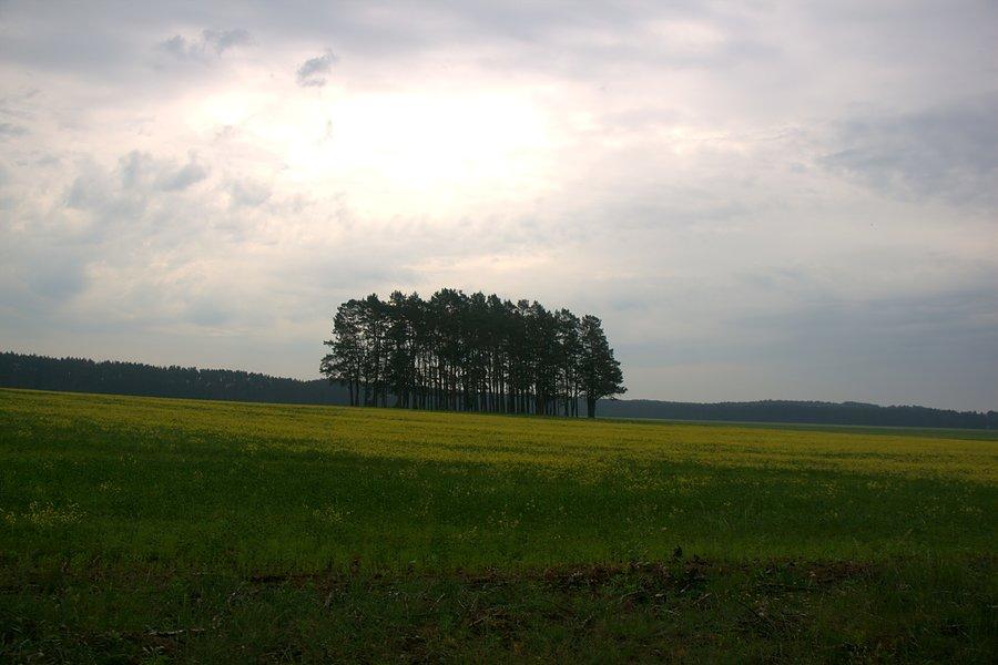 Przydrożne krajobrazy