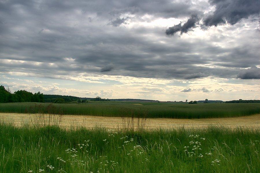 Przydrożne krajobrazy