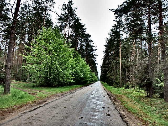 Puszcza Piska w deszczu (Brevet 400)