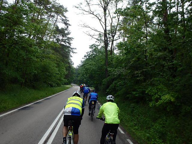 Lasy Pomiechowskie (Brevet 400)