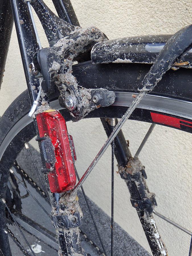 Prawie jak cyclocross (Brevet 400)