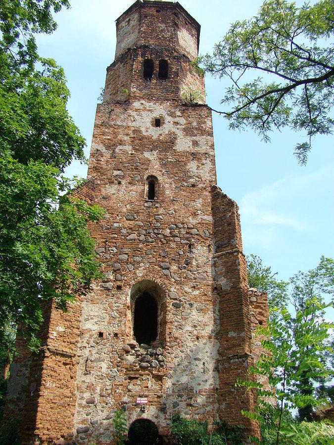 Ruiny kościoła wzniesionego w latach 1601-1603 we Wronińcu