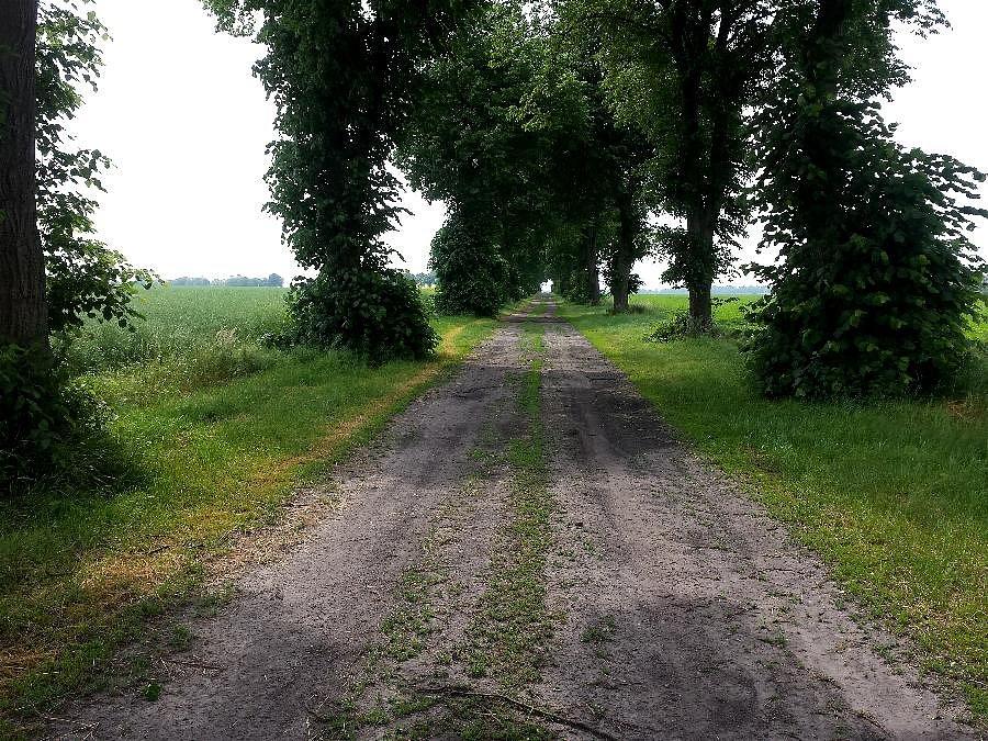 Droga Strzyżno - Barnim