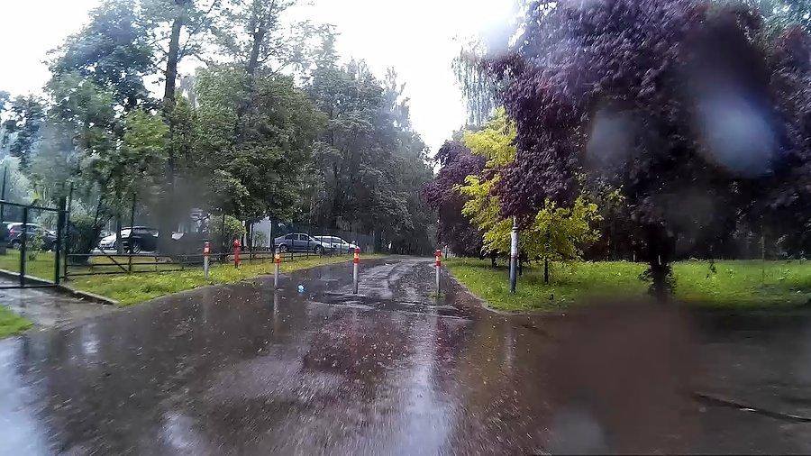 W parku Zadole
