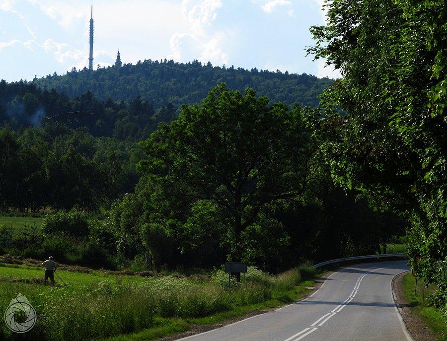 Znów pod Świętym Krzyżem