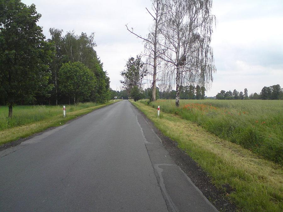 St. Siołkowice - Popielów (DW 457): tu ma powstać ścieżka rowerowa