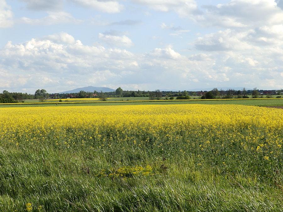 Widok na Ślężę i Góry Sowie