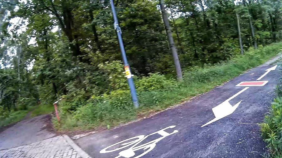 Czyżby wszędzie w lesie tak oznakowali szlaki?