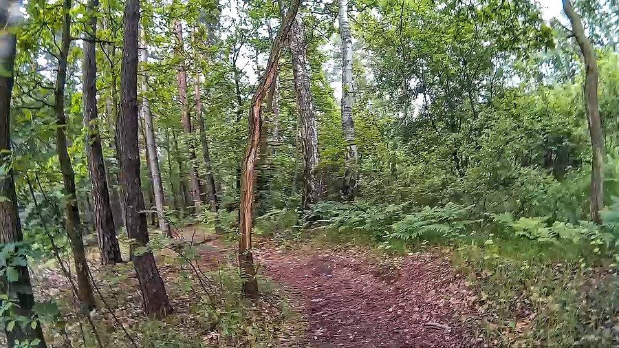 Single track