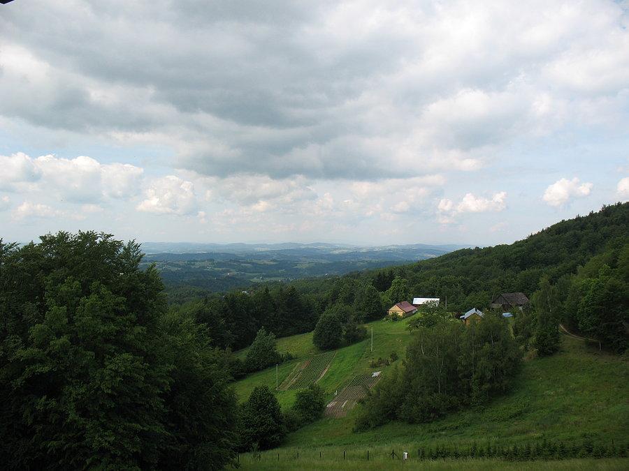 Widoczek #1