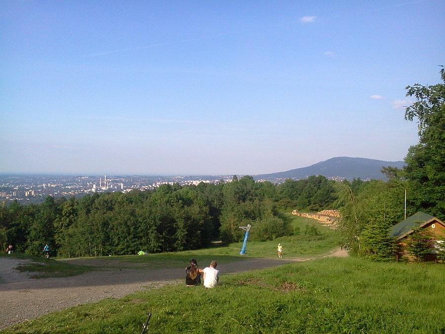 Widok z Dębowca