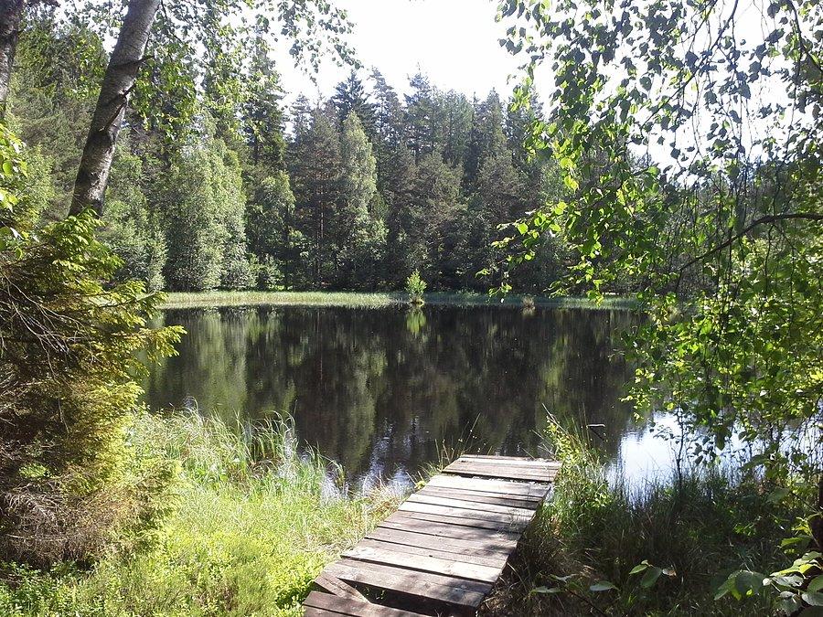 Urocza leśna miejscówka