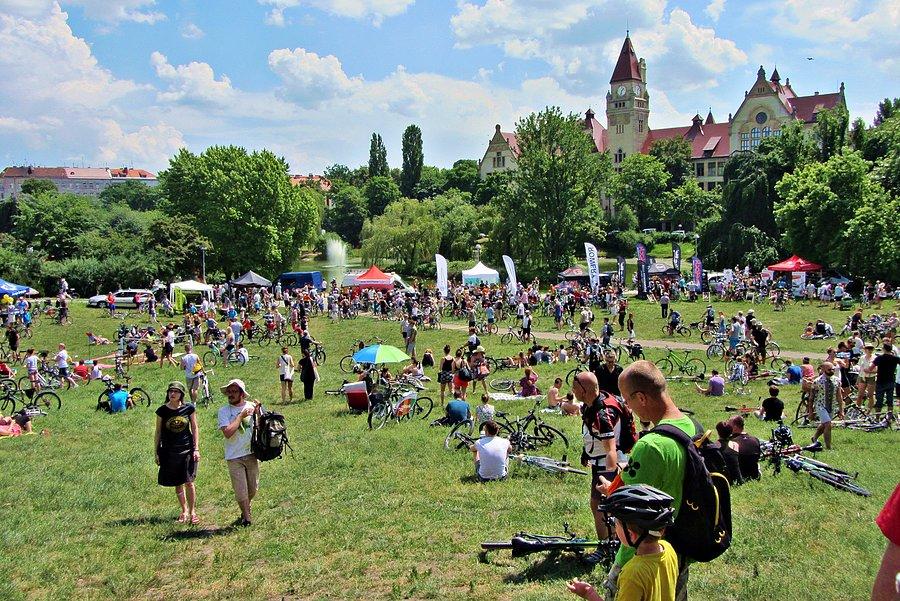 Rowerowy piknik