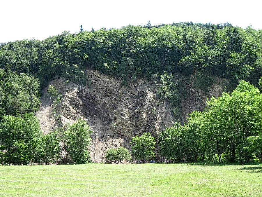 Tzw Ściana Olzy nad Wisłokiem