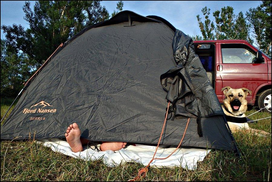 Namiocik ;)