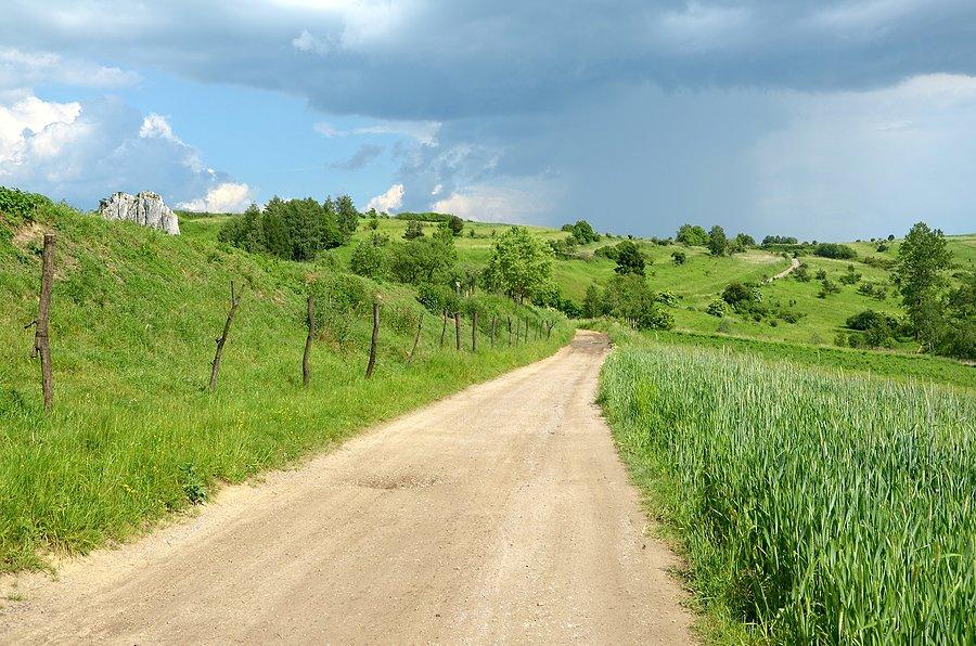 Przed Racławicami