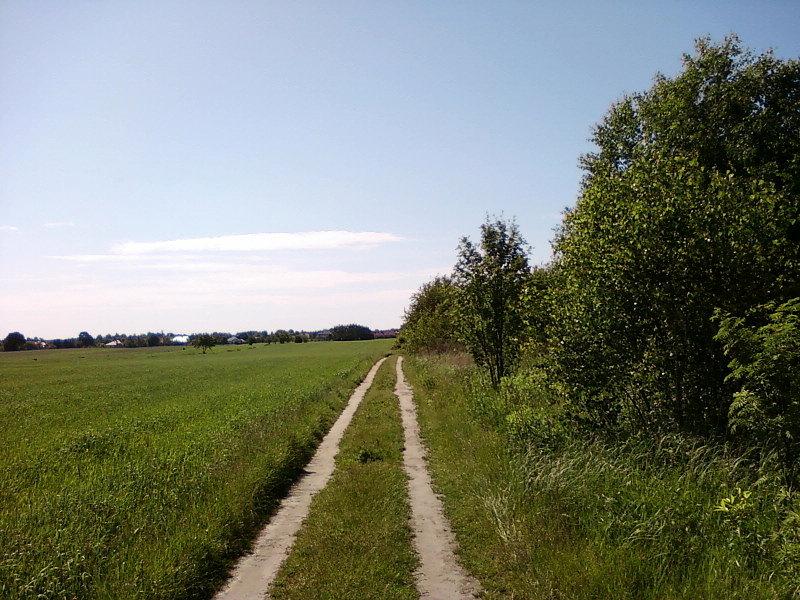 Szlak koło Dobrej