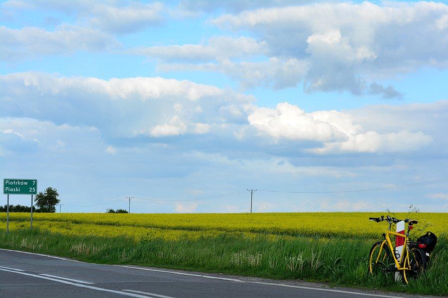 Na Piotrków!