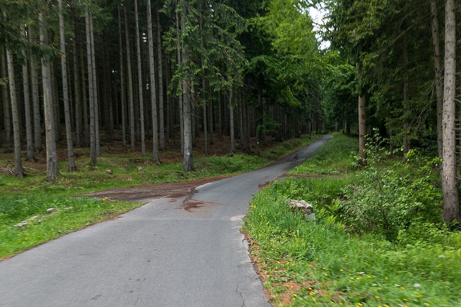Wjazd od lasu i za chwilę pierwszy ostrzejszy kawałek